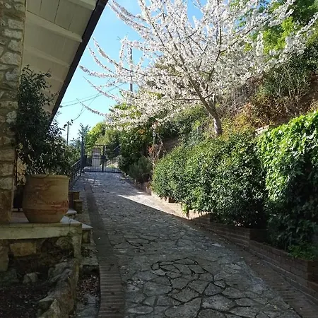 Casa Dei Faggi * Tolfa