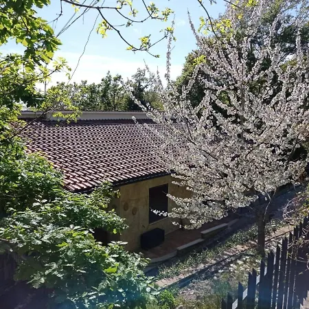 Casa Dei Faggi Apartment Tolfa
