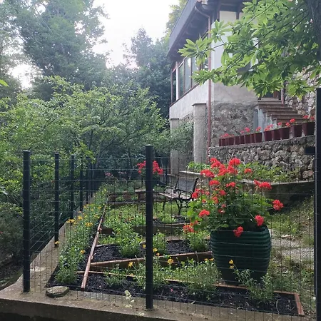 Casa Dei Faggi 托尔法