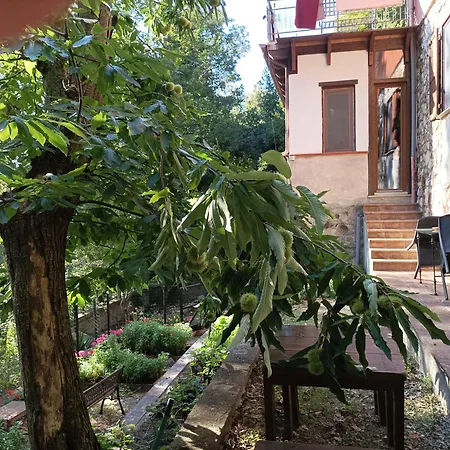 Apartment Casa Dei Faggi *